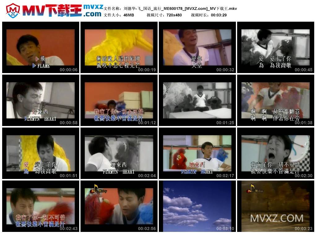 刘德华-飞_国语_流行_ME600178